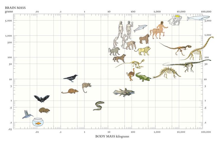 Edward Tufte Chart Junk