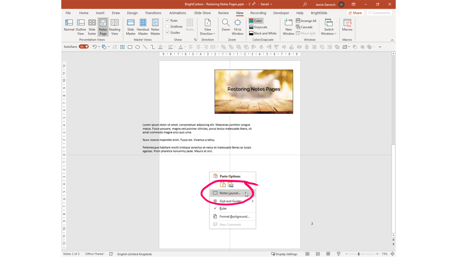 Screenshot of a PowerPoint Notes Page with 'Notes Layout' selected