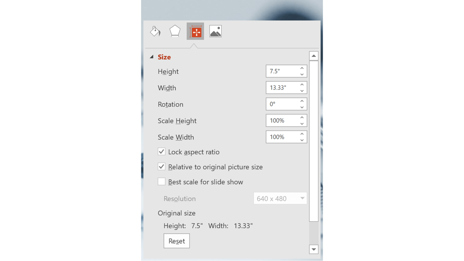 PowerPoint UI screenshot of picture inserted size