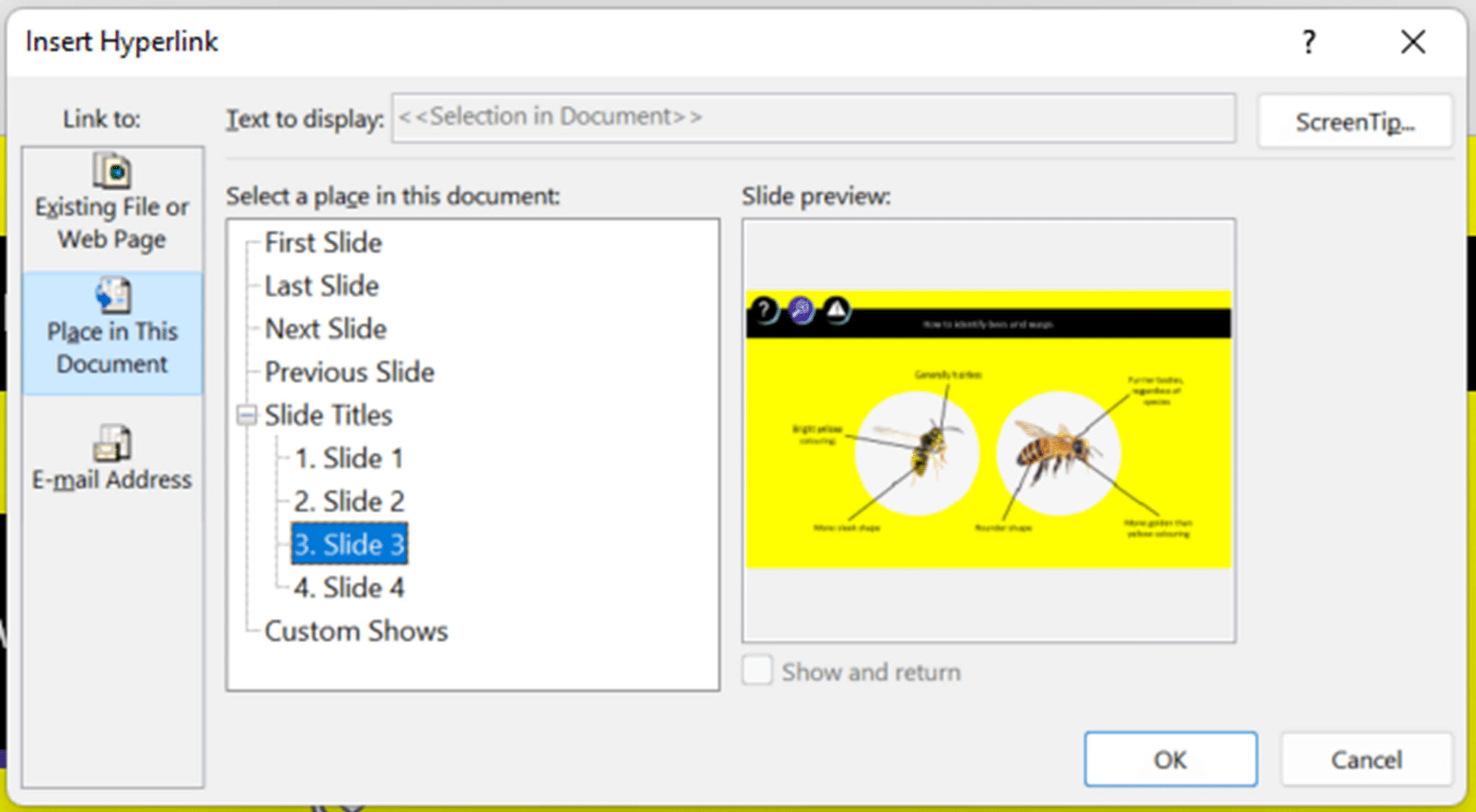 Screenshot of the 'insert hyperlink' pop-up box in PowerPoint, with Slide 3 highlighted. 