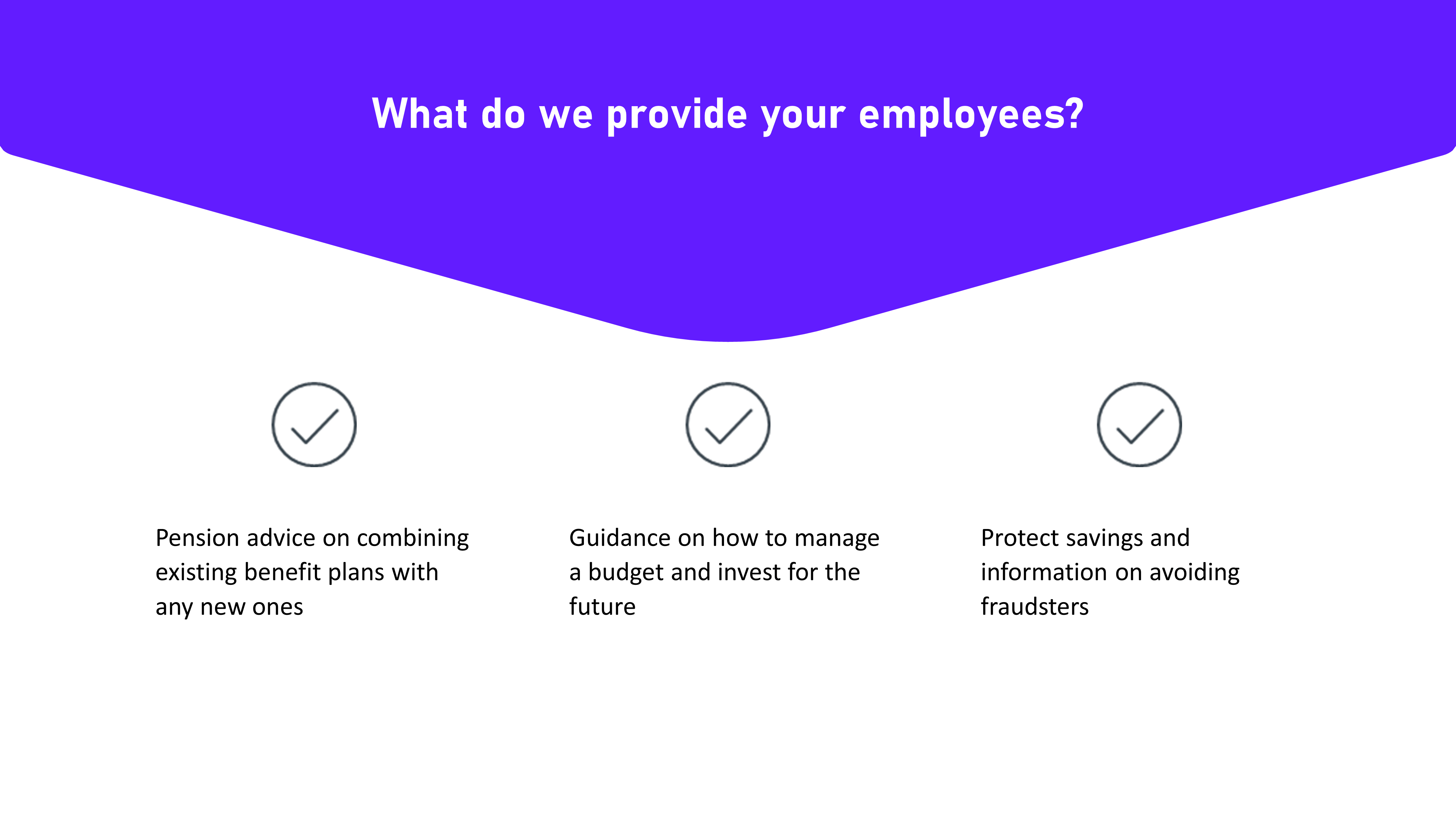 Example slide with the title 'What do we provide your employees?' There are three statements below underneath tick icons. They mention pension advice, managing a budget and protecting savings. 