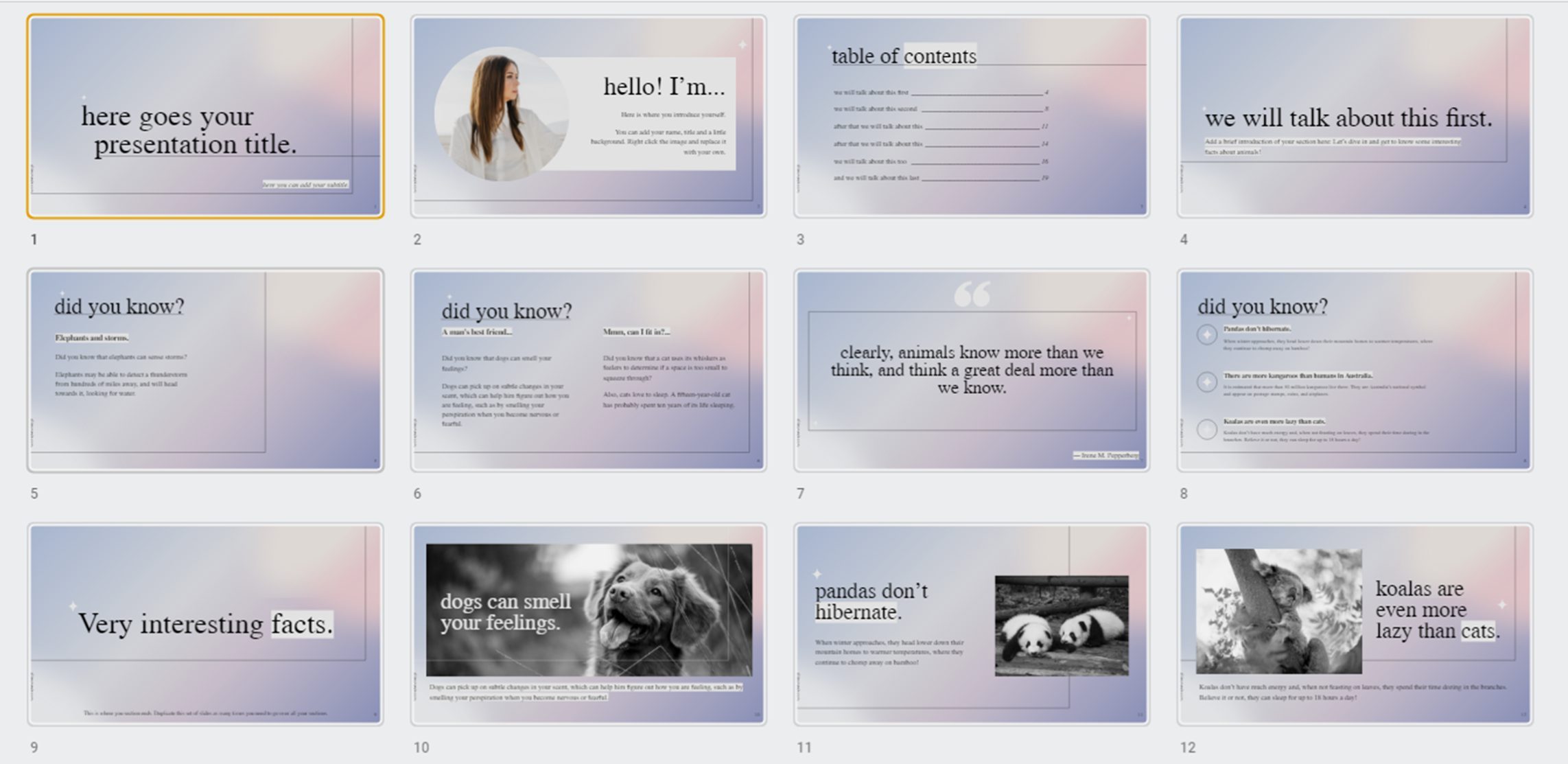 slides layouts for the template