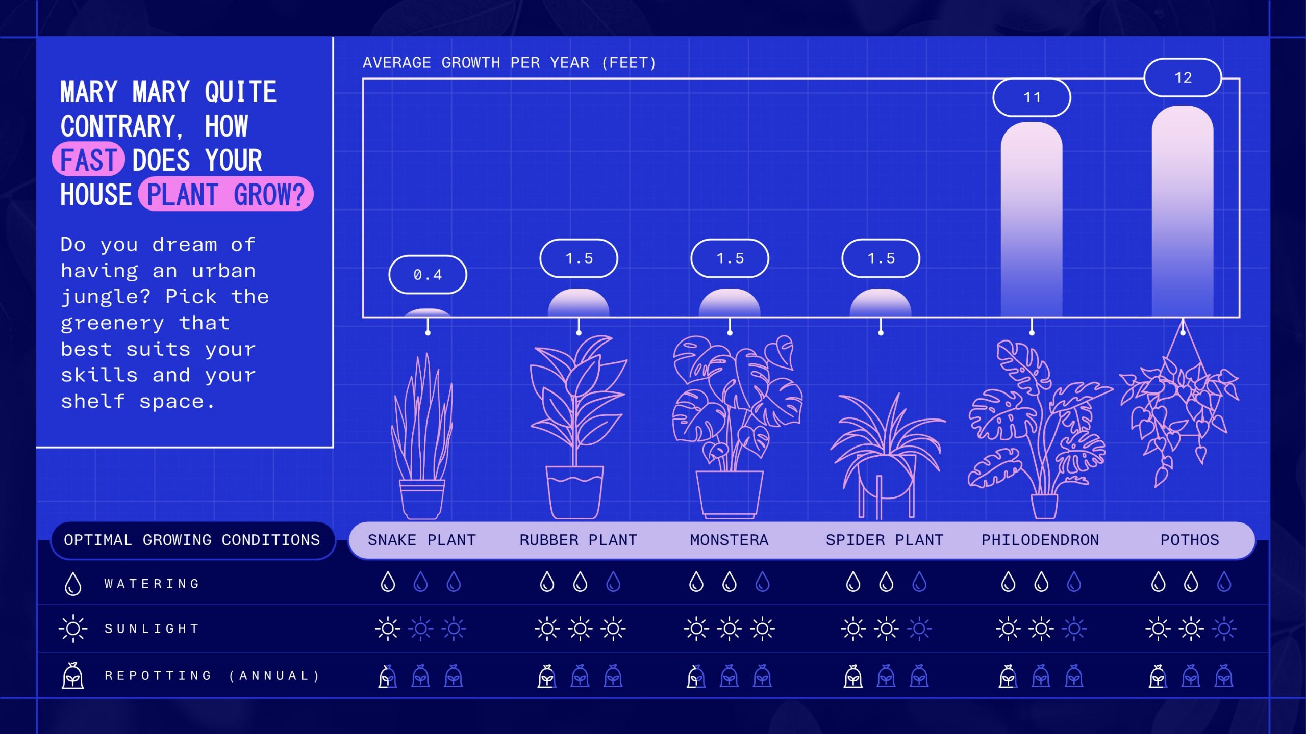 data visualisation showing a comparison of how fast house plants grow and the care conditions they need