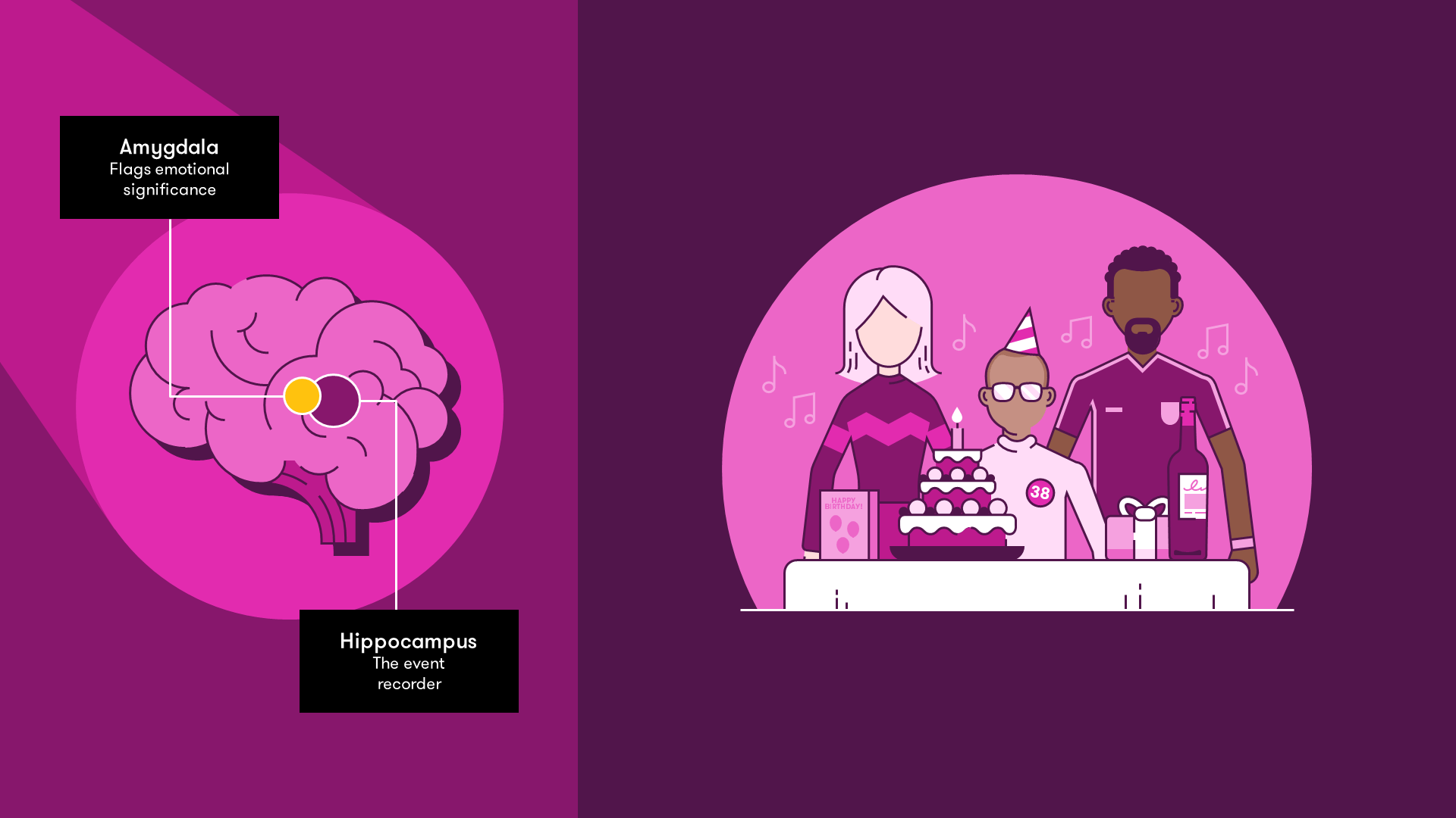 brain showing amygdala - which flags emotional significance, and the hippocampus - the event recorder, in the context of a birthday party