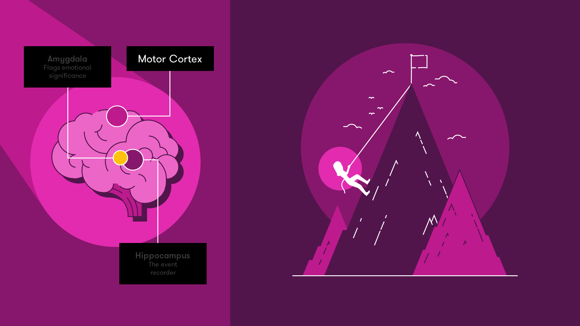 Brain showing the motor cortex lighting up as someone hears a story of a person climbing a mountain