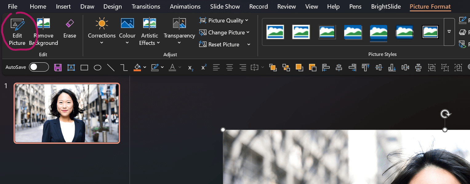 screenshot showing where the Edit Picture option is in PowerPoint
